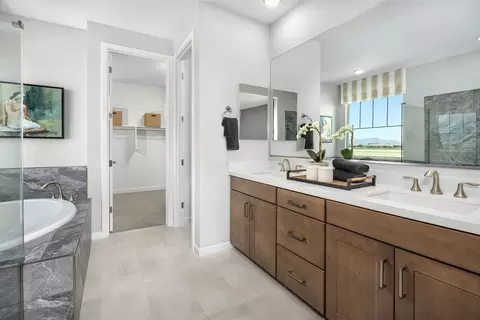 Bath - 22846 E Firestone Dr, Queen Creek, AZ 85142 photo 1 of 6