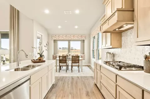 Kitchen - 2006 Portrush Ln, Venus, TX 76084 photo 5 of 5