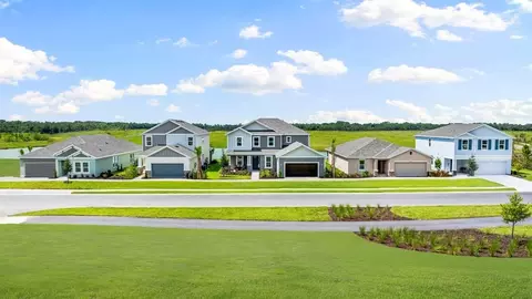 View/Area - 13305 Commons Ave, Parrish, FL 34219 photo 4 of 5