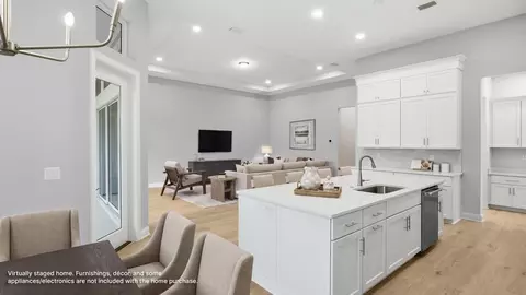 Other - 135 Historic Brick Ln, Saint Augustine, FL 32095 photo 3 of 9