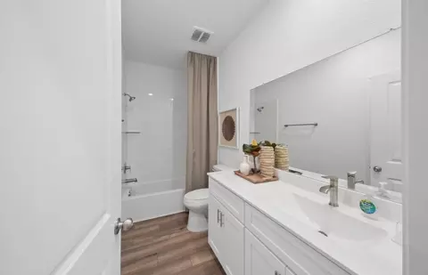 Bath - 207 Ruby Ford Dr, Cove, TX 77523 photo 2 of 3