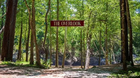 Other - 21830 Jedediah River Way, Porter, TX 77365 photo 2 of 3
