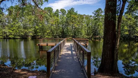 View/Area - 21830 Jedediah River Way, Porter, TX 77365 photo 8 of 9