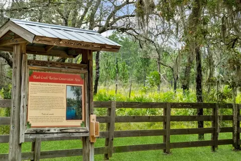 View/Area - Pine Tree Ln & Trails End, Middleburg, FL 32068 photo 1 of 2