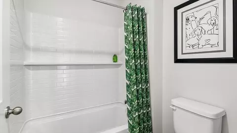 Bath - 265 Snowdrop Ln, Elgin, IL 60124 photo 8 of 9