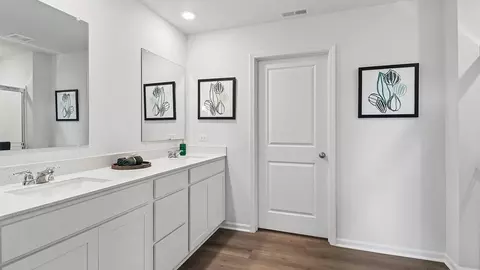 Bath - 265 Snowdrop Ln, Elgin, IL 60124 photo 5 of 9