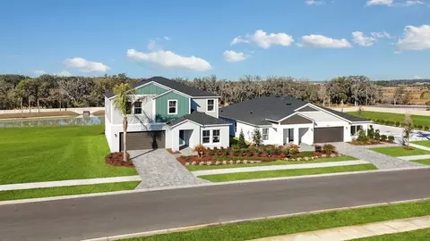 9915 Govreau Rd, Wesley Chapel, FL 33545