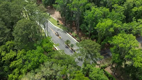 View/Area - 9778 Lehigh Ave, Savannah, GA 31406 photo 6 of 10