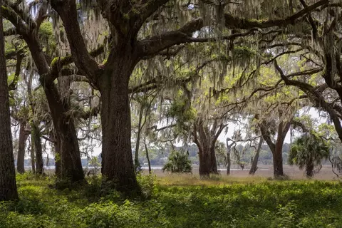 Other - 9778 Lehigh Ave, Savannah, GA 31406 photo 5 of 6