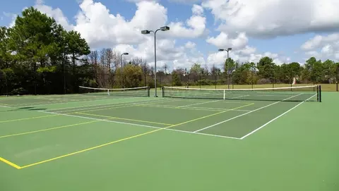 View/Area - 3102 Lobelia Ln, Leland, NC 28451 photo 2 of 13
