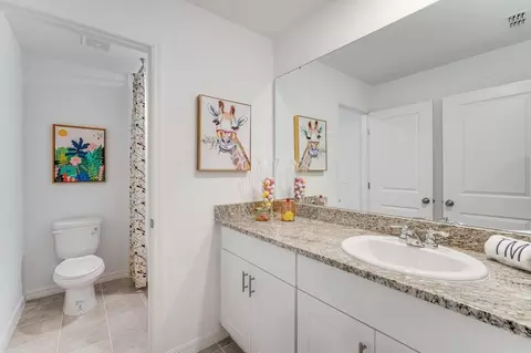 Bath - 13516 Camelot Ct, Parrish, FL 34219 photo 2 of 5
