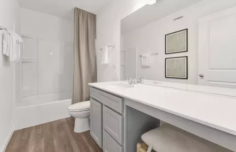 Bath - 12823 S Vicarage Dr, Plainfield, IL 60585 photo 3 of 4