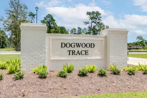 View/Area - 32573 White Bloom Ln, Walker, LA 70785 photo 1 of 1