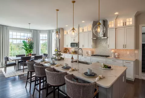 Kitchen - Orange Tree Lane, Westminster, MD 21157 photo 105 of 113