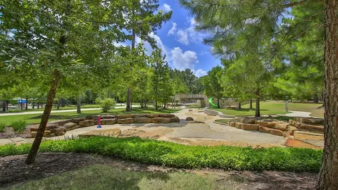 View/Area - 206 Painters Ridge Ct, Willis, TX 77318 photo 3 of 3