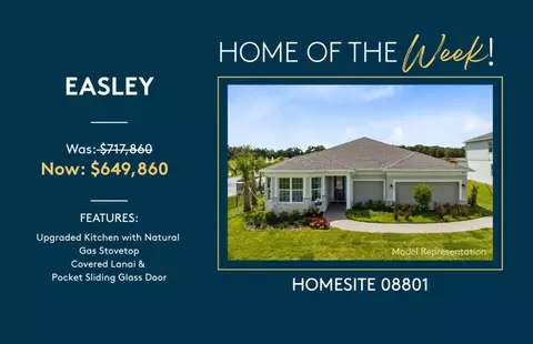 Other - 5305 Foothills Preserve Loop, Mount Dora, FL 32757 photo 7 of 11