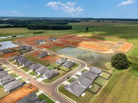 View/Area - 303 Kendall Downs Blvd, Toney, AL 35773 photo 3 of 6