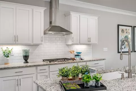 Kitchen - 303 Kendall Downs Blvd, Toney, AL 35773 photo 5 of 5