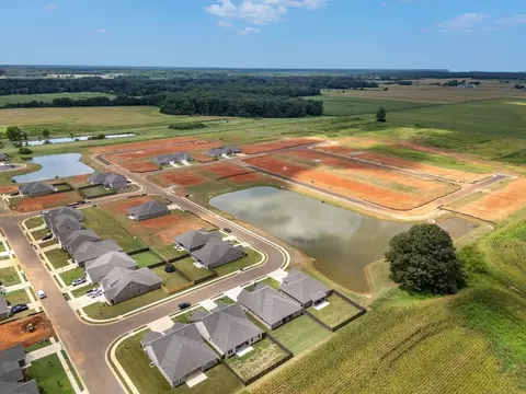 View/Area - 303 Kendall Downs Blvd, Toney, AL 35773 photo 2 of 6