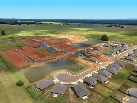 View/Area - 303 Kendall Downs Blvd, Toney, AL 35773 photo 1 of 6