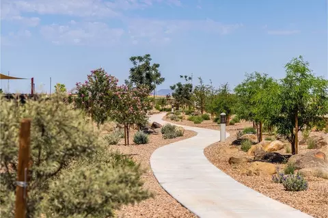 View/Area - 25557 W Trumbull Rd, Buckeye, AZ 85326 photo 8 of 14