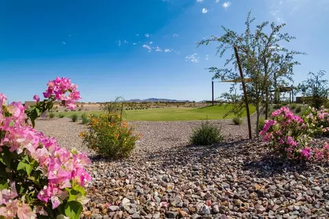 Exterior - 25557 W Trumbull Rd, Buckeye, AZ 85326 photo 6 of 6