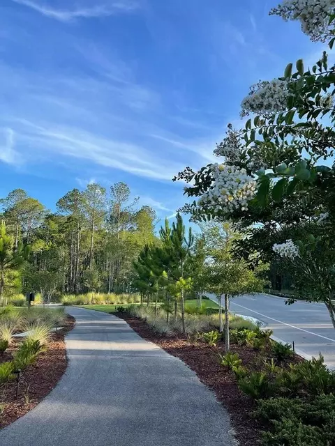 View/Area - 75776 Lily Pond Ct, Yulee, FL 32097 photo 5 of 11