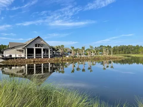 View/Area - 75776 Lily Pond Ct, Yulee, FL 32097 photo 10 of 11