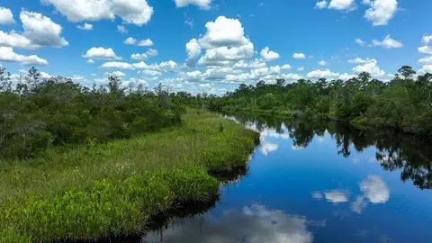 View/Area - 75776 Lily Pond Ct, Yulee, FL 32097 photo 11 of 11
