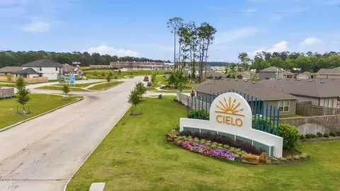 View/Area - 10602 Flight Deck Ct, Conroe, TX 77303 photo 10 of 11