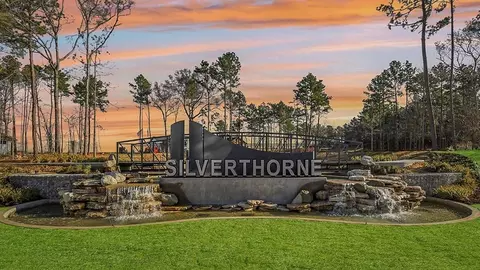 View/Area - 607 Bronze Wolf Ct, Conroe, TX 77303 photo 4 of 14