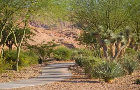View/Area - 1300 Flat Top Mesa Dr, Mesquite, NV 89034 photo 26 of 31
