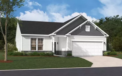 204 Chapin Place Way, Chapin, SC 29036