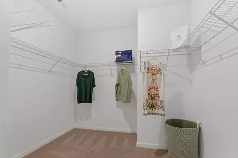 Other - 158 Hidden River Dr, Madison, AL 35756 photo 5 of 8