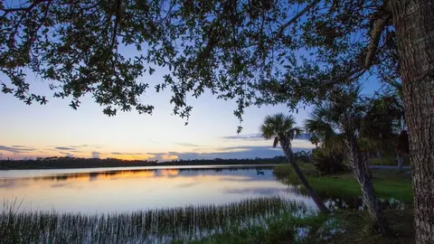 View/Area - 11 Pheasant Dr, Palm Coast, FL 32164 photo 2 of 2