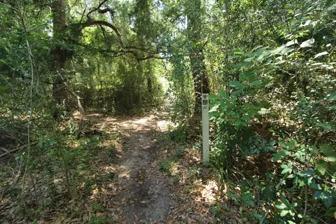 Other - 21 Eagle Harbor Trl, Palm Coast, FL 32164 photo 4 of 5