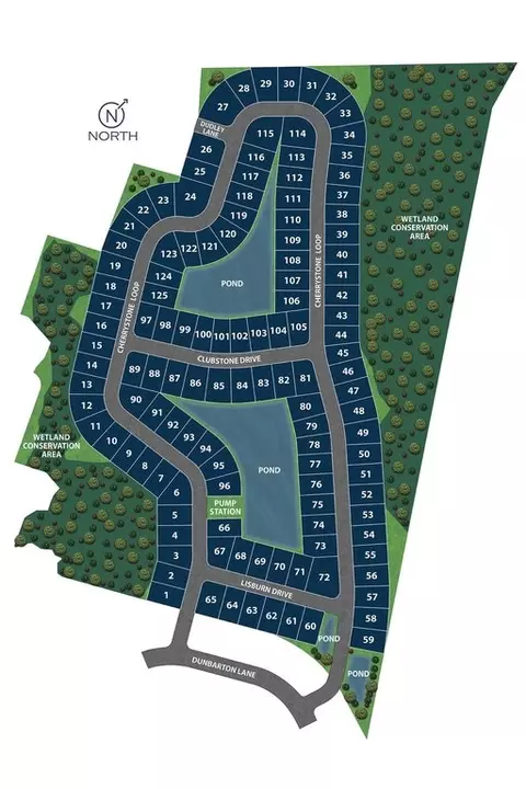 View/Area - 105 Foxford Dr, Conway, SC 29526 photo 5 of 5