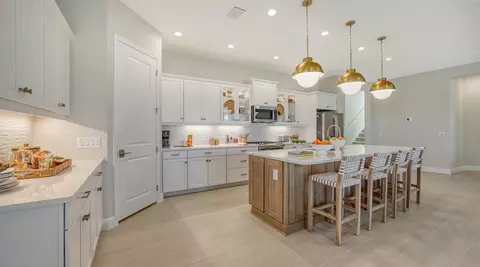Kitchen - 20145 Fieldcrest Ter, Estero, FL 33928 photo 1 of 2