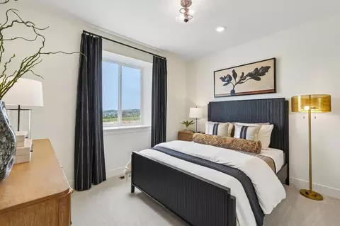 Bedroom - 13796 Daffodil Pt, Parker, CO 80134 photo 7 of 17