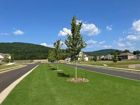 Other - Mountain Preserve Blvd., Gurley, AL 35748 photo 5 of 7