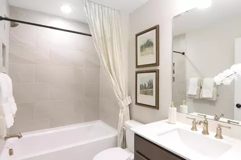 Bath - 384 Conifer Ln, Ball Ground, GA 30107 photo 6 of 7