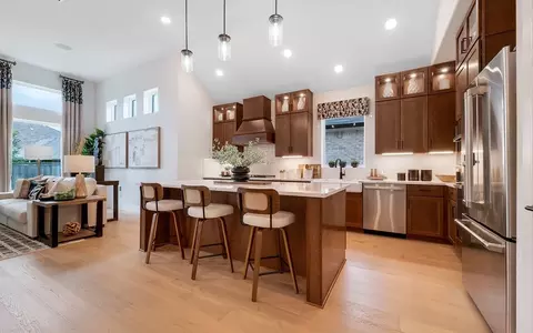 Kitchen - 274 Rubber Tree Way, Buda, TX 78610 photo 8 of 17