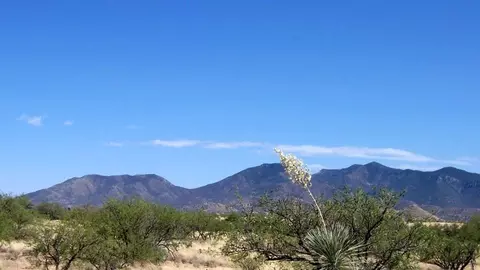 Other - Undisclosed, Benson, AZ 85602 photo 3 of 6