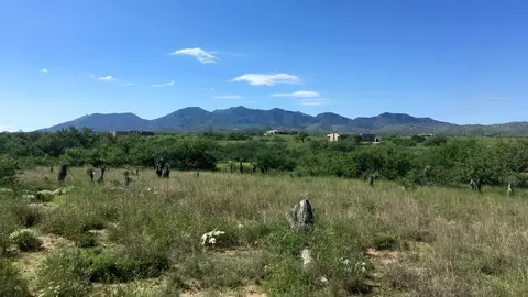 Exterior - Undisclosed, Benson, AZ 85602 photo 3 of 3