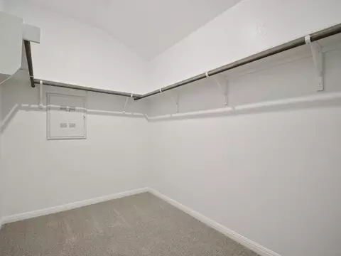 502 Cyprus Row Ct, Hutto, TX 78634