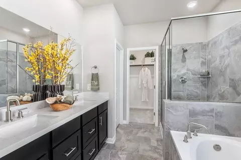 Bath - 1632 Lorant Ln, Pflugerville, TX 78660 photo 1 of 3