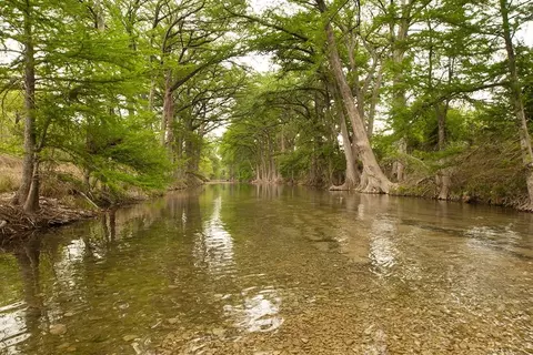 View/Area - 12934 Bone Dry Ln, Von Ormy, TX 78073 photo 6 of 6