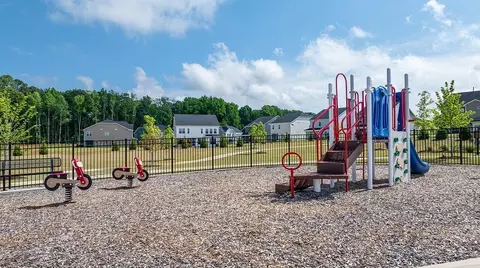 View/Area - 324 Marmalade Sky Ln, Wake Forest, NC 27587 photo 4 of 8