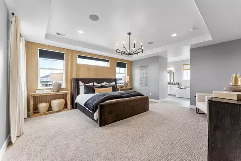 Bedroom - 3762 Freestone Pt, Castle Rock, CO 80108 photo 2 of 6