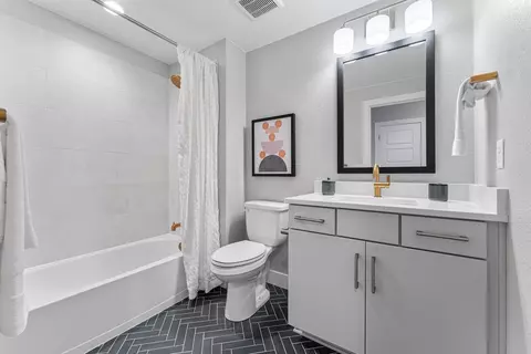 Bath - 3762 Freestone Pt, Castle Rock, CO 80108 photo 7 of 7